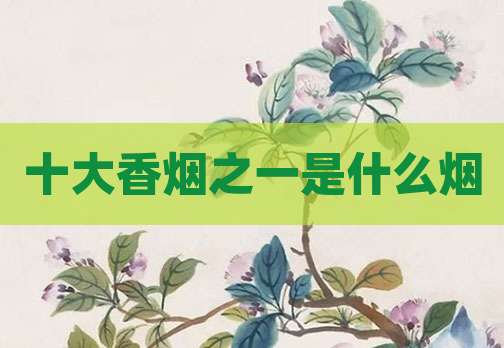 十大香烟之一是什么烟