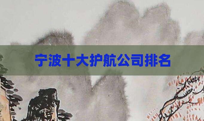 宁波十大护航公司排名