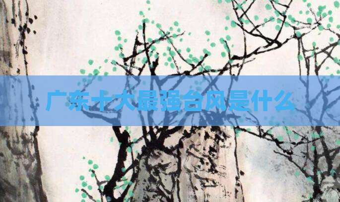 广东十大最强台风是什么