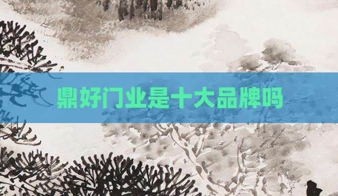 鼎好门业是十大品牌吗