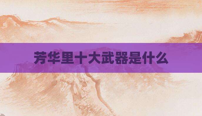 芳华里十大武器是什么