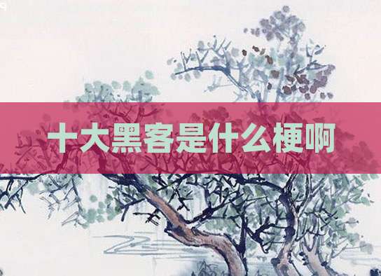 十大黑客是什么梗啊