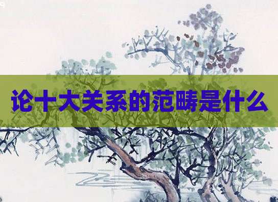 论十大关系的范畴是什么