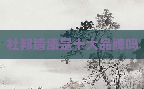 杜邦墙漆是十大品牌吗