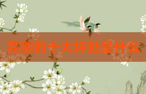 亮剑的十大坏处是什么