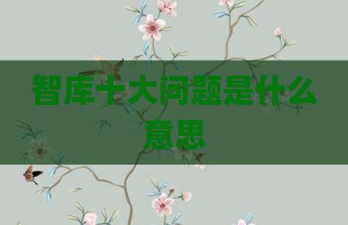 智库十大问题是什么意思