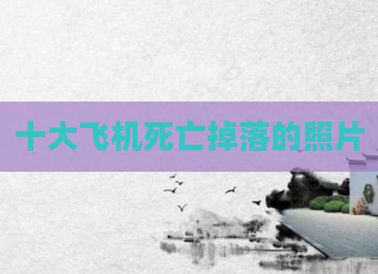 十大飞机死亡掉落的照片