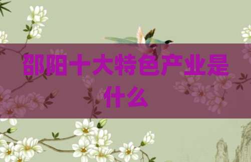 邵阳十大特色产业是什么
