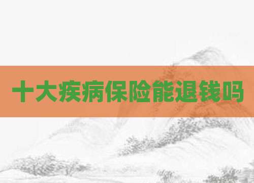十大疾病保险能退钱吗