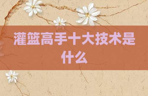 灌篮高手十大技术是什么