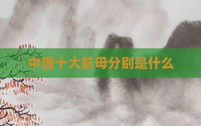 中国十大航母分别是什么