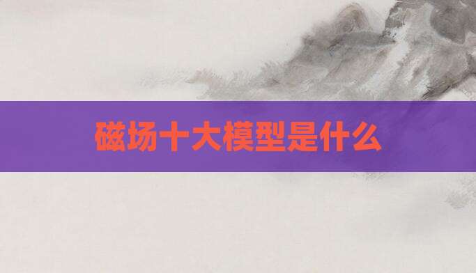 磁场十大模型是什么