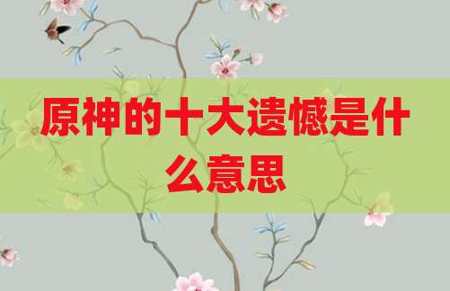 原神的十大遗憾是什么意思