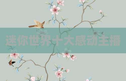 迷你世界十大感动主播