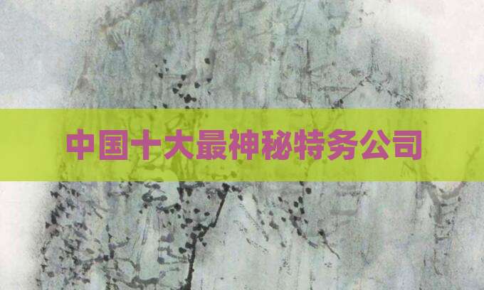 中国十大最神秘特务公司