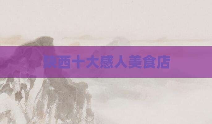 陕西十大感人美食店
