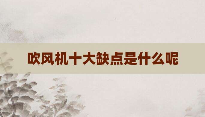 吹风机十大缺点是什么呢