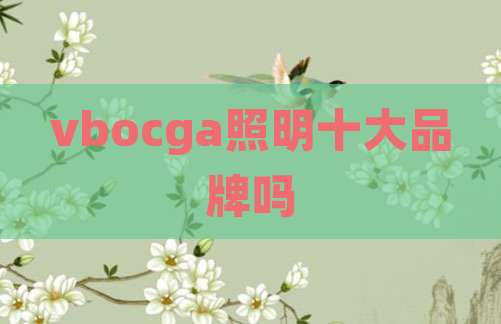 vbocga照明十大品牌吗