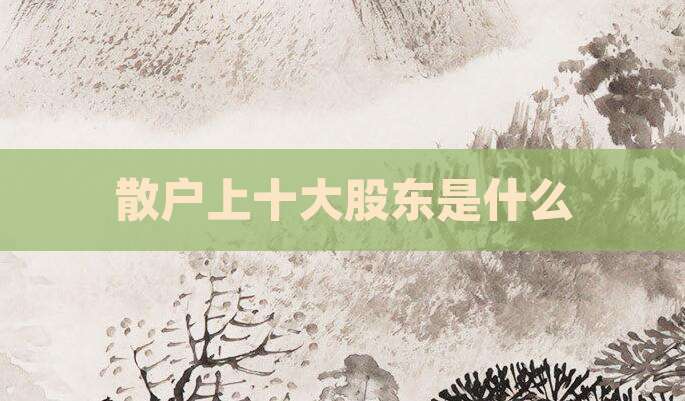 散户上十大股东是什么