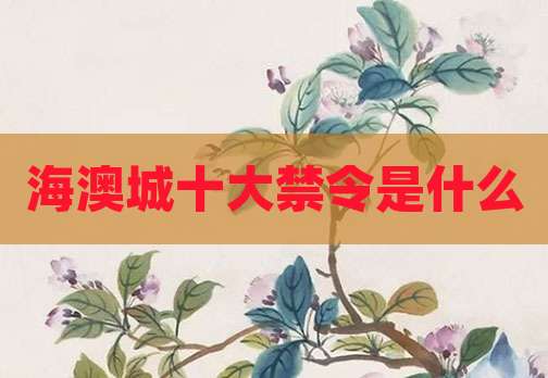 海澳城十大禁令是什么