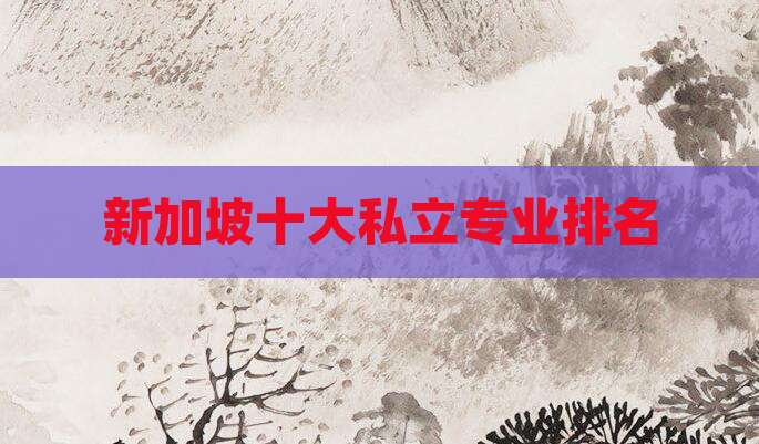新加坡十大私立专业排名