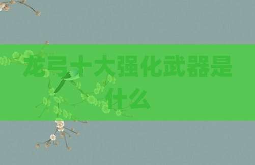 龙弓十大强化武器是什么