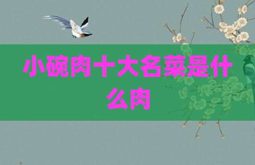 小碗肉十大名菜是什么肉
