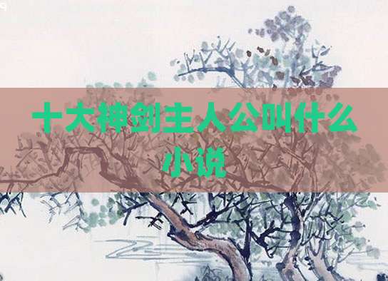 十大神剑主人公叫什么小说
