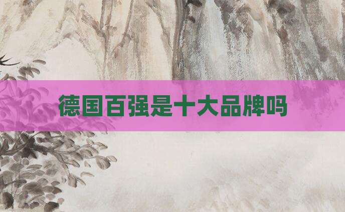 德国百强是十大品牌吗
