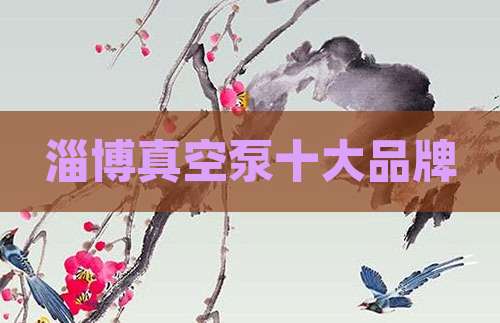 淄博真空泵十大品牌