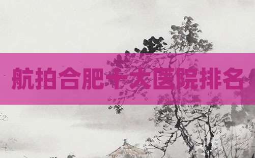 航拍合肥十大医院排名