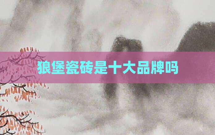 狼堡瓷砖是十大品牌吗