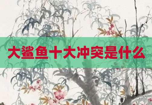 大鲨鱼十大冲突是什么