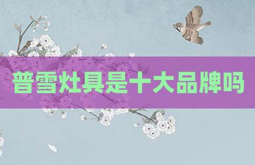 普雪灶具是十大品牌吗