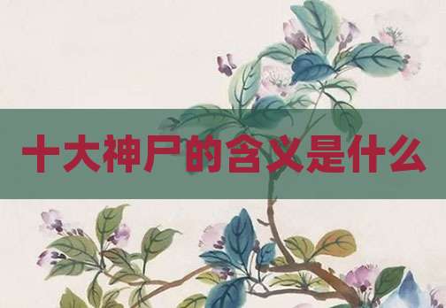 十大神尸的含义是什么