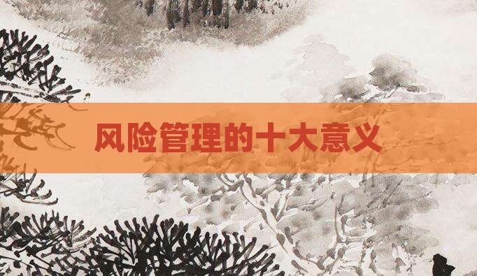 风险管理的十大意义