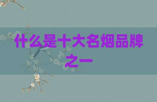 什么是十大名烟品牌之一