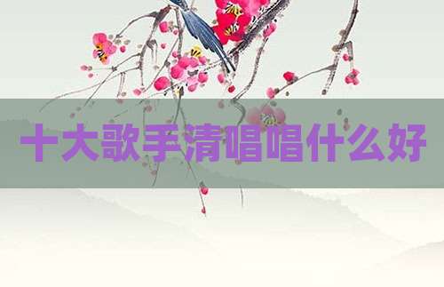 十大歌手清唱唱什么好