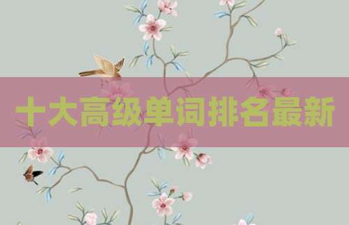 十大高级单词排名最新