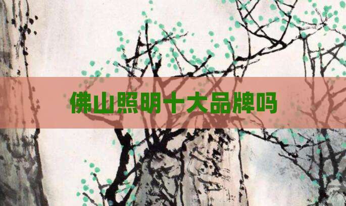 佛山照明十大品牌吗