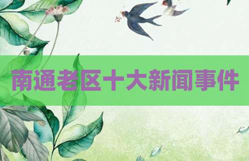 南通老区十大新闻事件