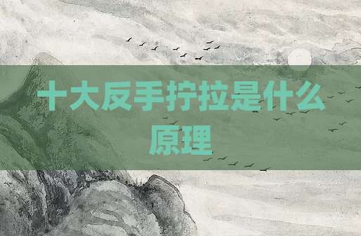 十大反手拧拉是什么原理
