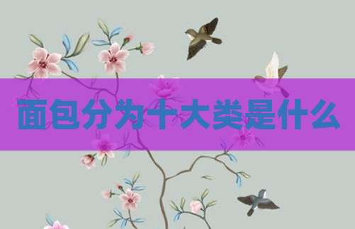 面包分为十大类是什么