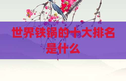 世界铁锅的十大排名是什么