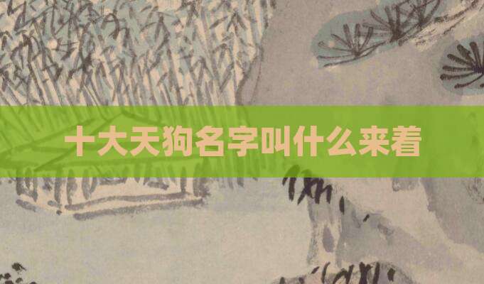 十大天狗名字叫什么来着
