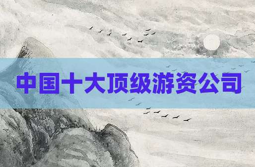 中国十大顶级游资公司