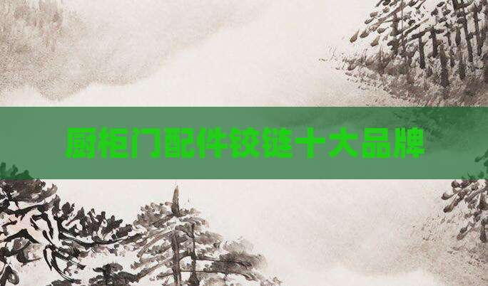 厨柜门配件铰链十大品牌
