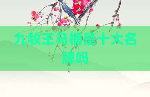 九牧王马桶是十大名牌吗