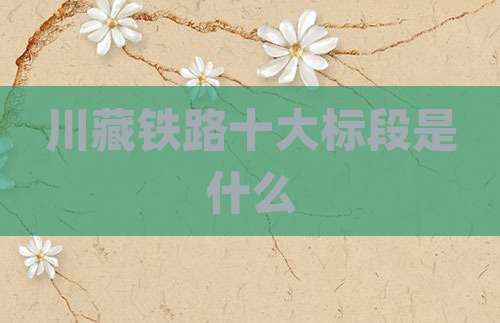 川藏铁路十大标段是什么