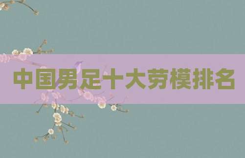 中国男足十大劳模排名